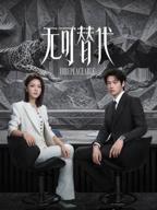 无可替代电视剧大全免费观看